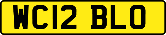 WC12BLO