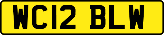 WC12BLW