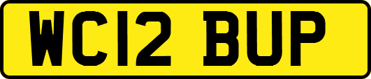 WC12BUP