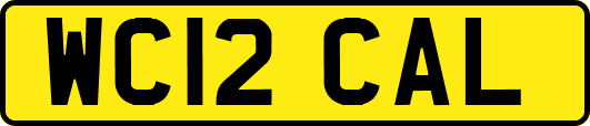 WC12CAL