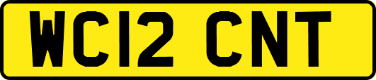 WC12CNT