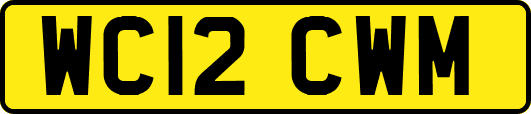 WC12CWM