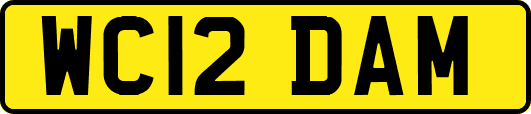 WC12DAM