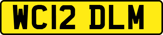 WC12DLM