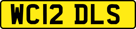 WC12DLS