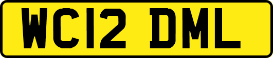 WC12DML