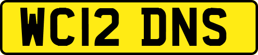 WC12DNS