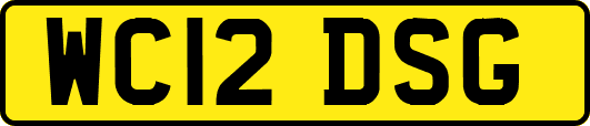 WC12DSG