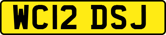 WC12DSJ