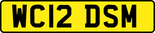 WC12DSM