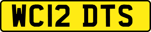 WC12DTS
