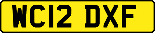 WC12DXF