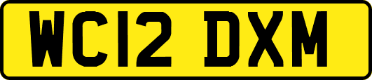 WC12DXM
