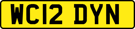 WC12DYN