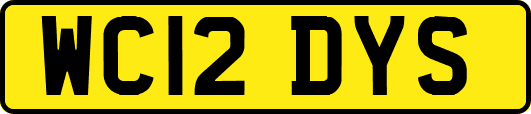 WC12DYS