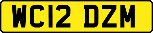 WC12DZM