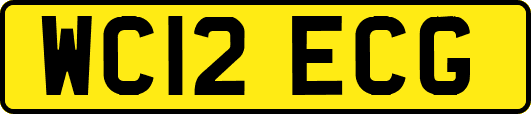 WC12ECG