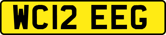 WC12EEG