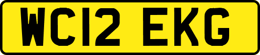WC12EKG