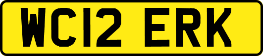 WC12ERK