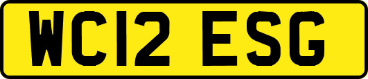 WC12ESG