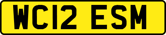 WC12ESM