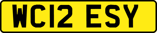 WC12ESY