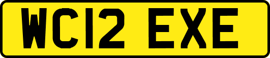 WC12EXE