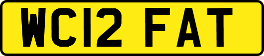 WC12FAT
