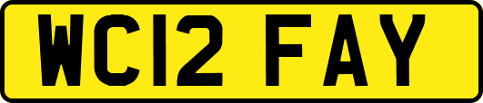 WC12FAY