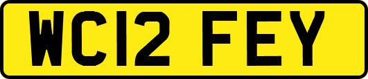 WC12FEY