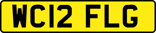 WC12FLG