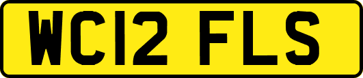 WC12FLS