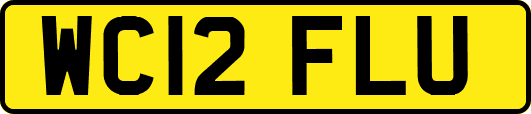 WC12FLU