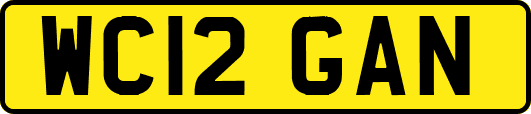 WC12GAN