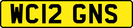 WC12GNS
