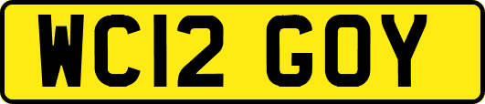 WC12GOY