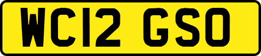 WC12GSO