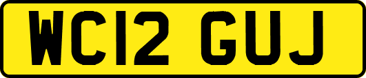 WC12GUJ