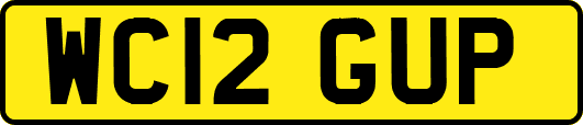 WC12GUP