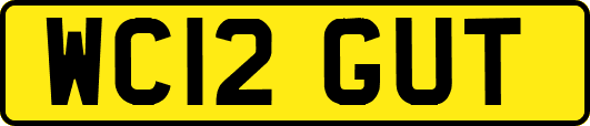 WC12GUT