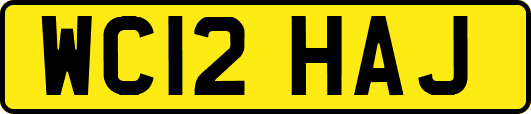 WC12HAJ