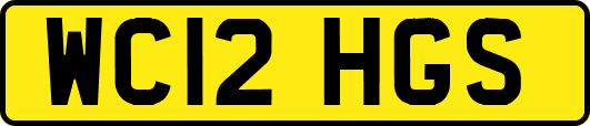WC12HGS