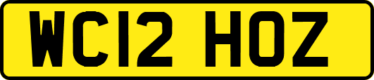 WC12HOZ