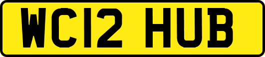WC12HUB