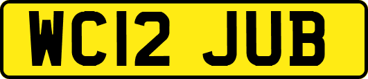 WC12JUB