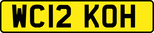 WC12KOH