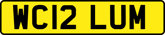 WC12LUM