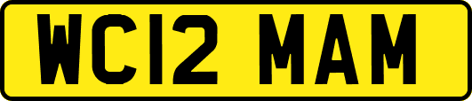 WC12MAM