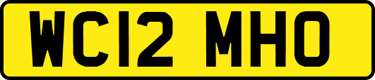 WC12MHO